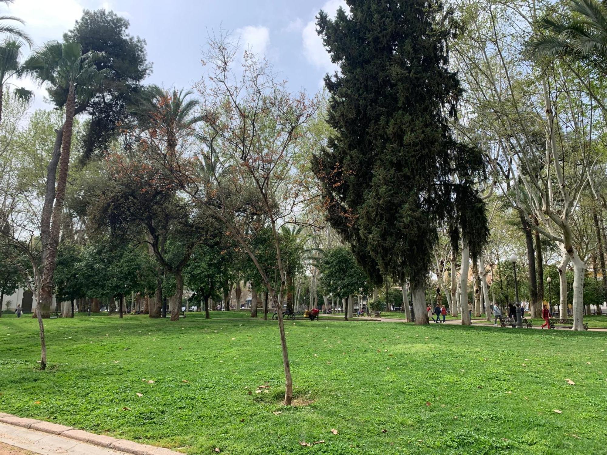 Bonito, Centrico, Fresco Y Tranquilo Apartamento En Santa Marina Córdoba Buitenkant foto